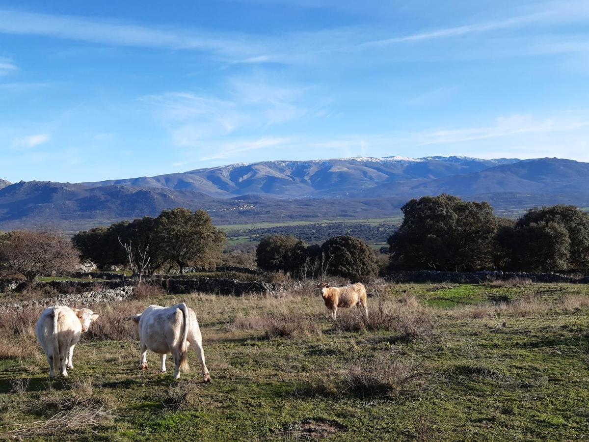 Casa Rural Mi Descanso Valdefuentes de Sangusín 외부 사진